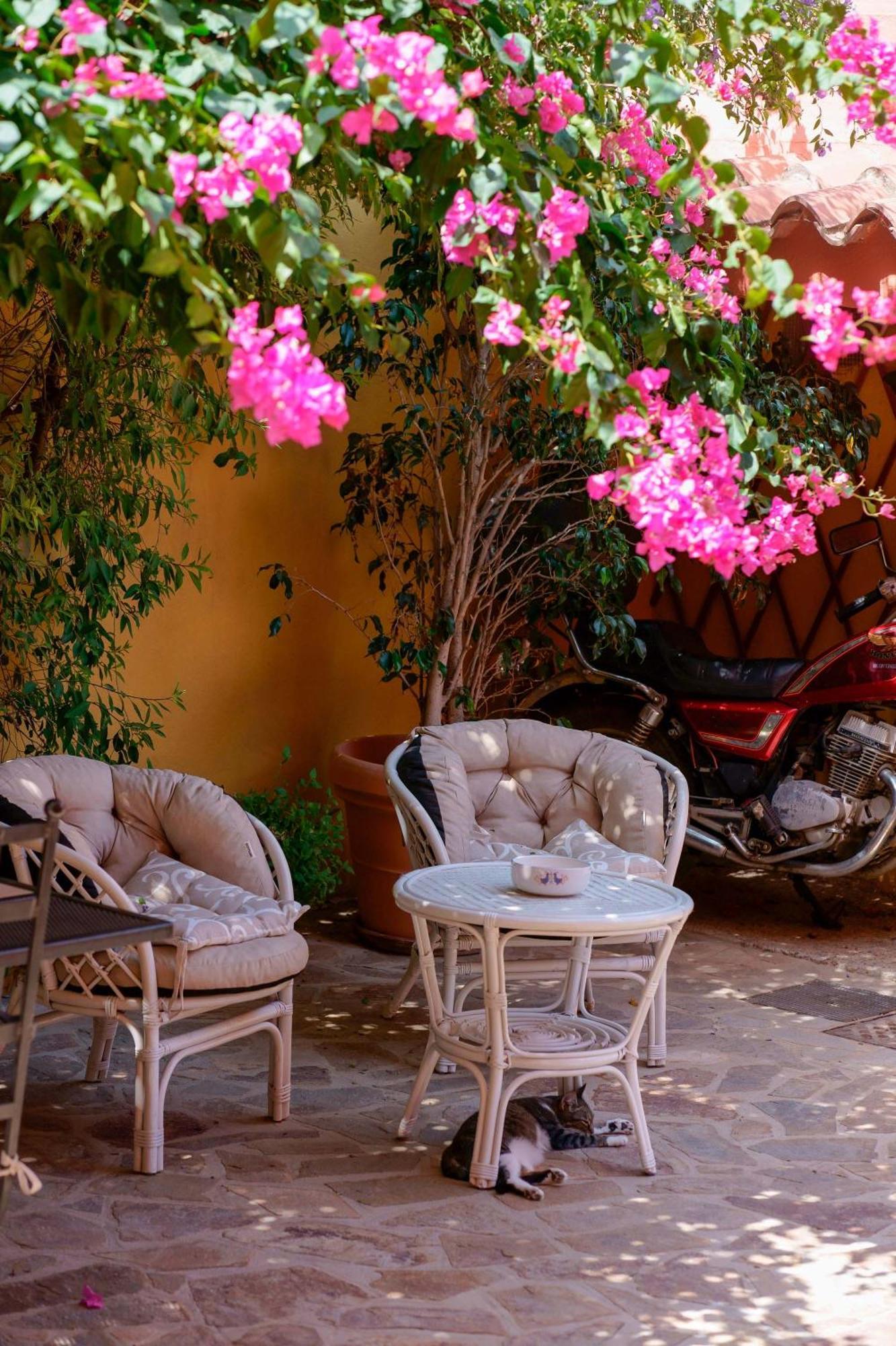 Bed & Breakfast Il Piccolo Giardino & Breakfast Villasimius