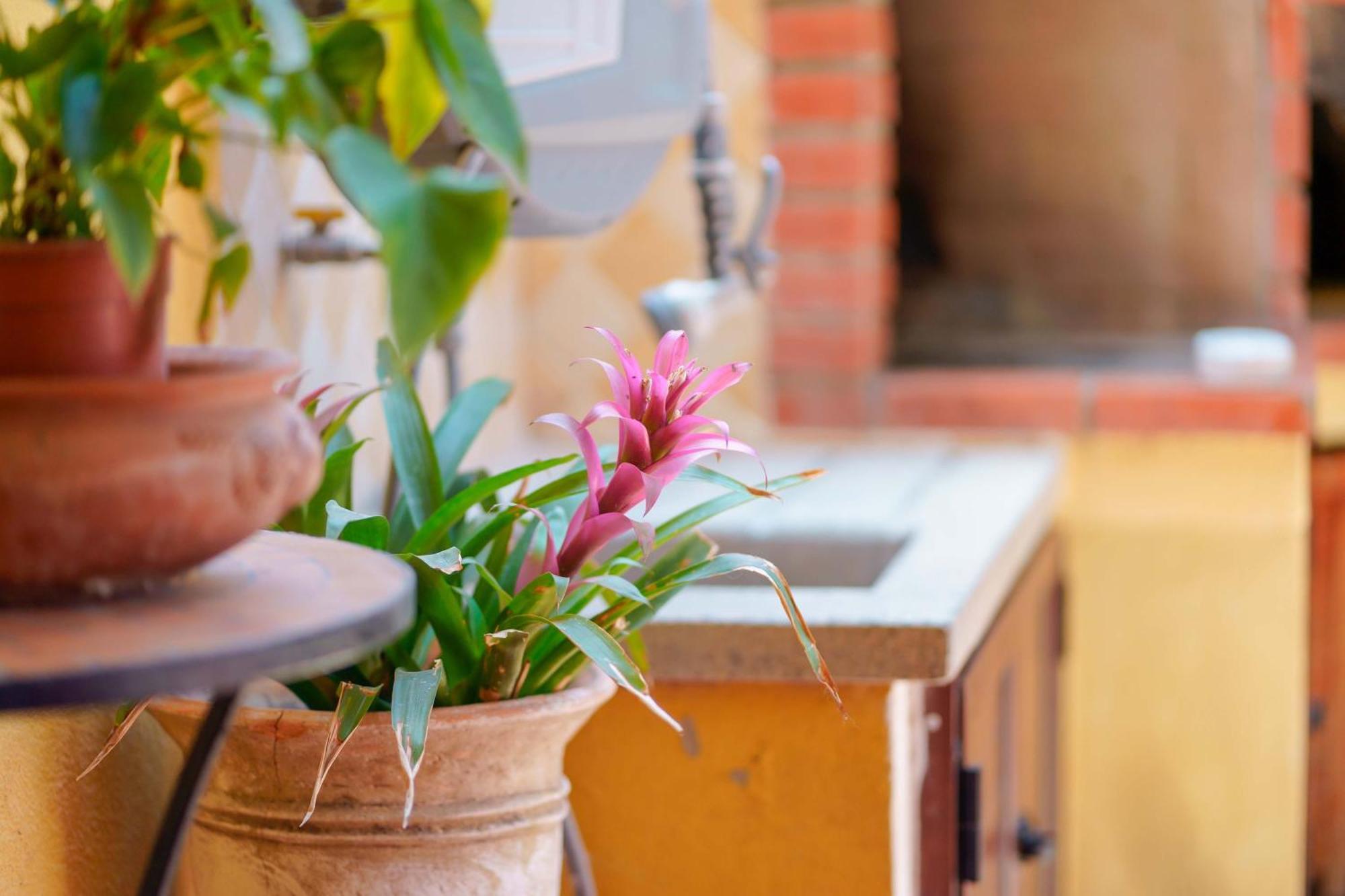 Bed & Breakfast Il Piccolo Giardino & Breakfast Villasimius