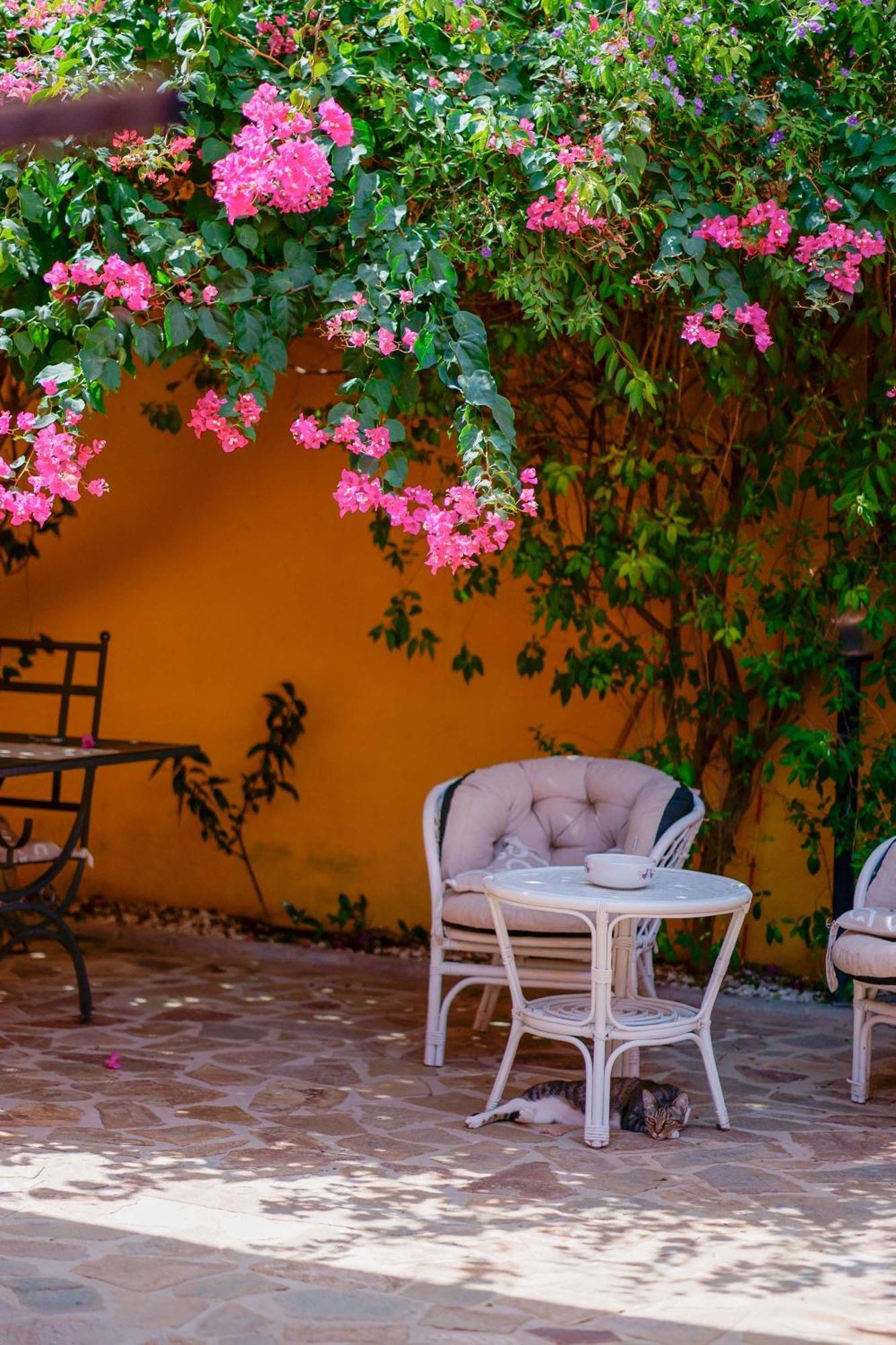 Il Piccolo Giardino & Breakfast